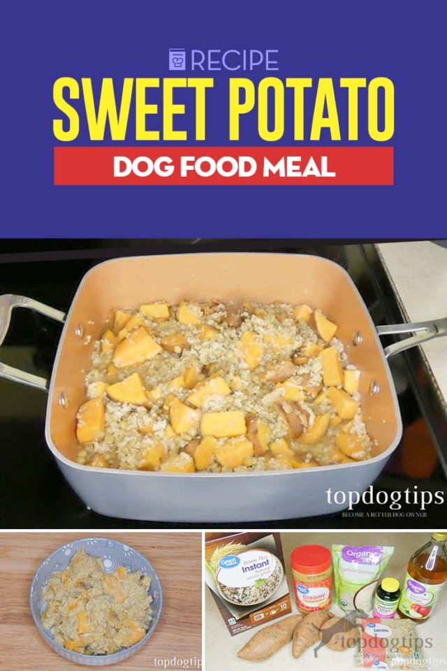 Recipe Sweet Potato Dog Food Meal Top Dog Tips