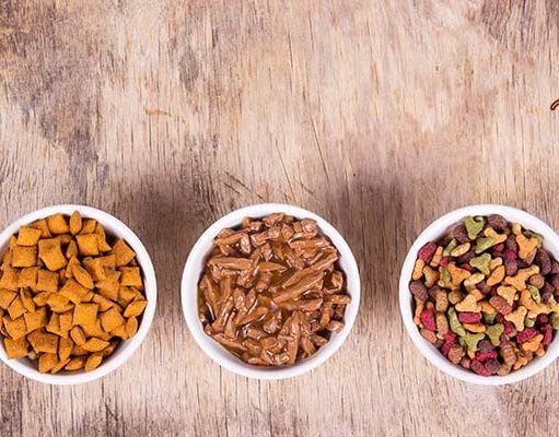 TOP #103: How to Transition Dogs to a New Diet How to Transition Dogs to a New Diet