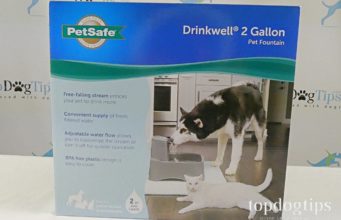 Review: PetSafe Drinking Fountains for Dogs and Cats PetSafe Drinkwell Fountain