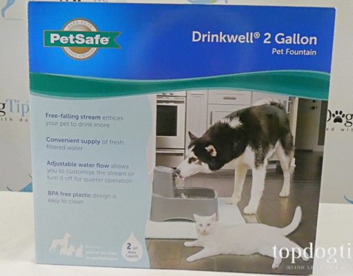 Review: PetSafe Drinkwell Fountain for Dogs PetSafe Drinkwell Fountain
