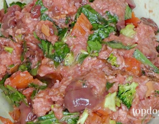 Recipe: Planet Paws Raw Dog Food Meal Planet Paws Dog Food Recipe