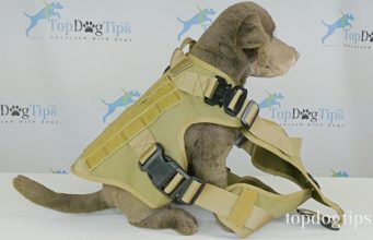 Review: Rabbitgoo Tactical Dog Harness Rabbitgoo Tactical Dog Harness