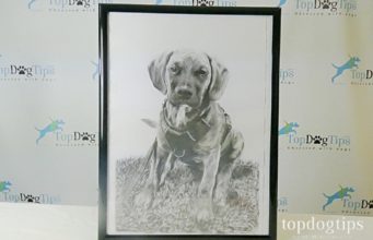 Review: BookMyPainting Charcoal Portrait Charcoal Sketch Giveaway