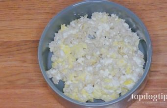 Recipe: Dog Food Meal for Sick Dog with Eggs