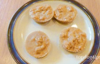 Recipe: Frozen Dog Treats with Sweet Potato Frozen Dog Treats