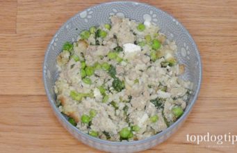 Recipe: Homemade Dog Food with Cottage Cheese Homemade Dog Food with Cottage Cheese