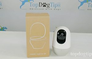 Review: Nooie Cam 360 WiFi Pet Camera Nooie Cam 360 Giveaway