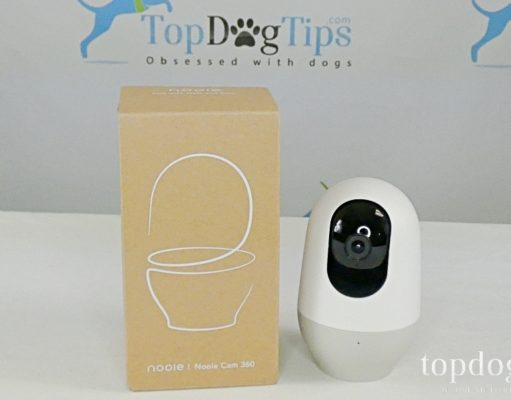 Review: Nooie Cam 360 WiFi Pet Camera Nooie Cam 360 Giveaway