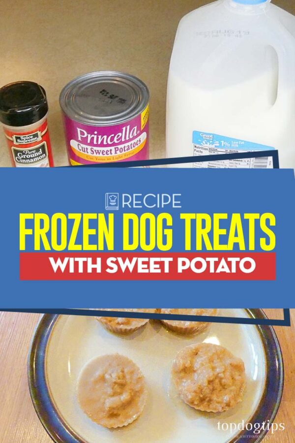 Recipe Frozen Dog Treats with Sweet Potato Top Dog Tips