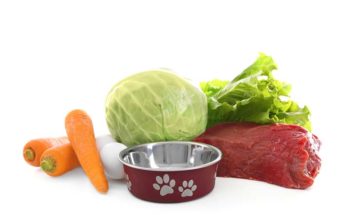 The Pros and Cons of Fresh Dog Food The Pros and Cons of Fresh Dog Food