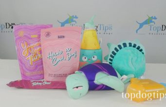 Review: BARK Dog Toys, Chews and Treats BARK Dog Toys