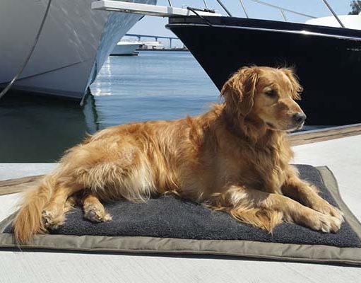 6 Best Dog Air Mattress Options for Sleeping Under the Stars Best Dog Air Mattress Options for Sleeping Under the Stars