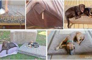 Top 4 Best Dog Mattress Beds Best Dog Mattress Beds