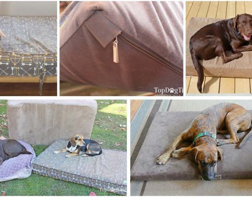 Top 4 Best Dog Mattress Beds Best Dog Mattress Beds