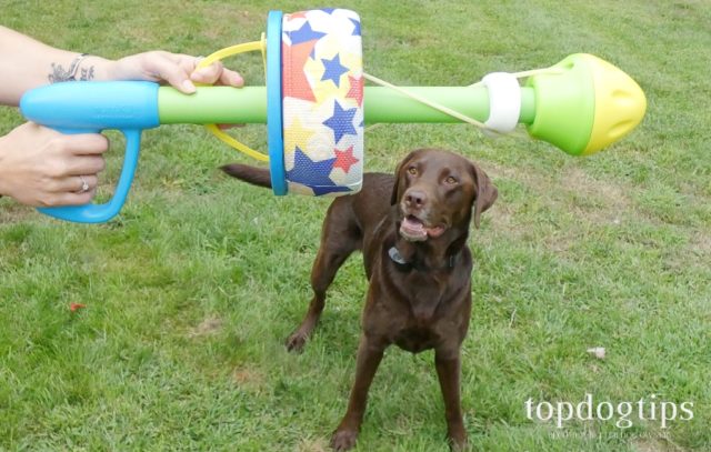 HurriK9 Flying Ring Launcher For Dogs - Starter Pack With Launcher & 3 Classic Rings, Up To 100+ Ft Throws