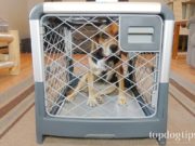 Review: Revol Dog Crate by Diggs Revol Dog Crate