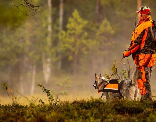 6 Best Dog Hunting Vest Brands Best Dog Hunting Vest