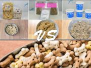 Comparing Costs of Fresh Dog Food Delivery vs Store-bought Kibble Comparing Costs of Fresh Dog Food Delivery vs Store-bought Kibble