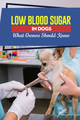 Surprising Things besides carbs That Raise Your Blood Sugar