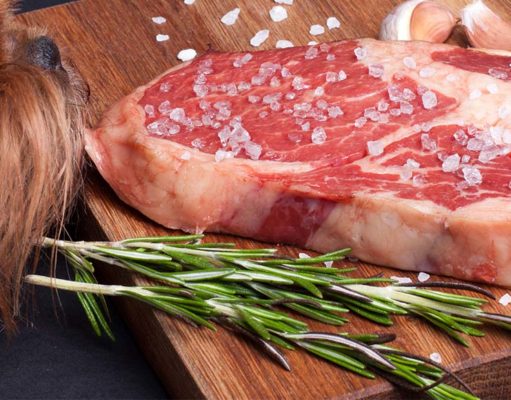Is Salt Bad for Dogs? How Much Is Safe to Consume? Is Salt Bad for Dogs