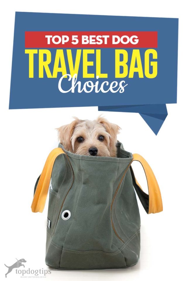 Top 5 Best Dog Travel Bag Choices Top Dog Tips