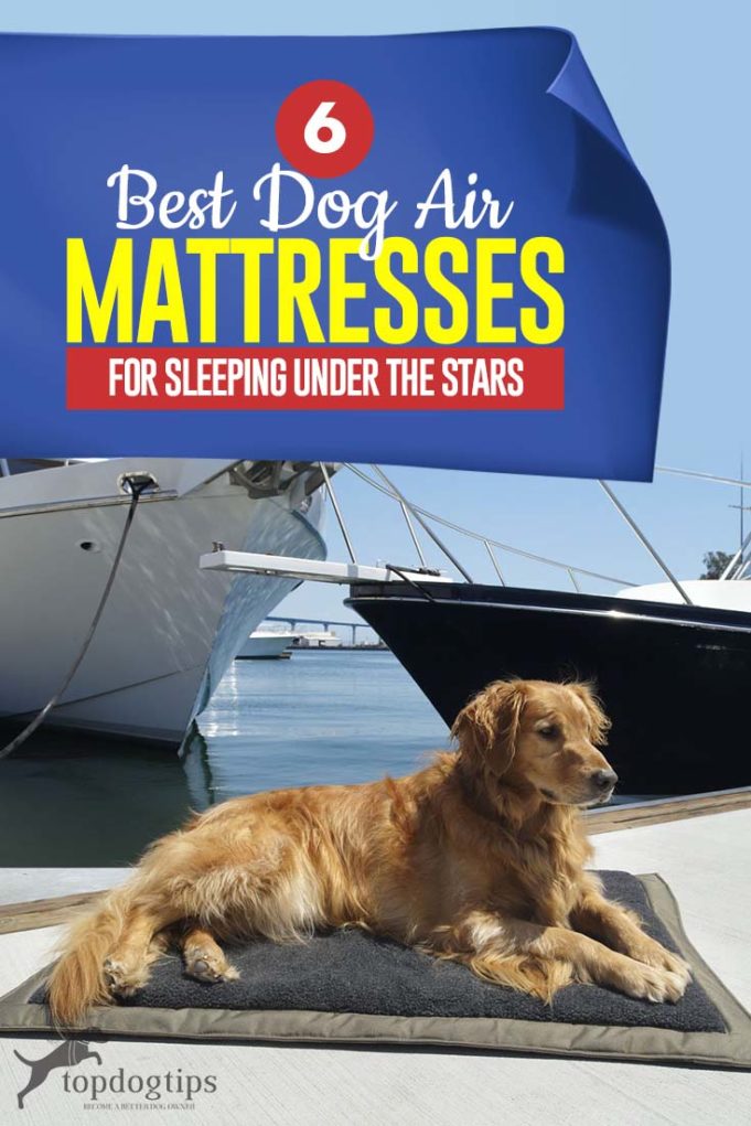 6 Best Dog Air Mattress Options for Sleeping Under the Stars Top Dog Tips