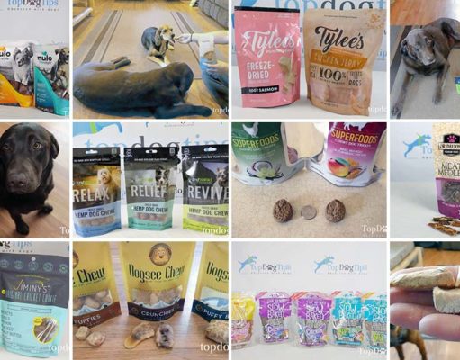 Top 10 Best Dog Treats Top 10 Best Dog Treats 2020