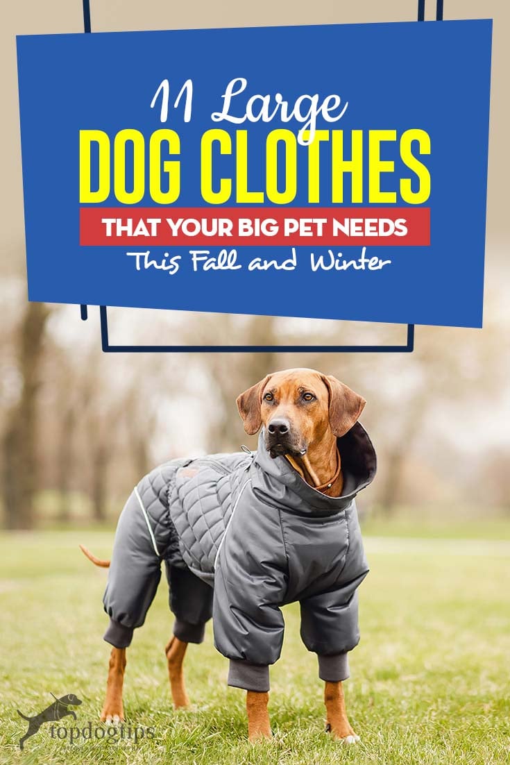 large breed dog jackets