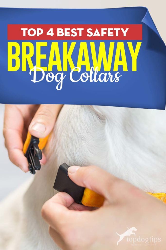 4 Best Safety Breakaway Dog Collar Choices to Prevent Accidents in 2020