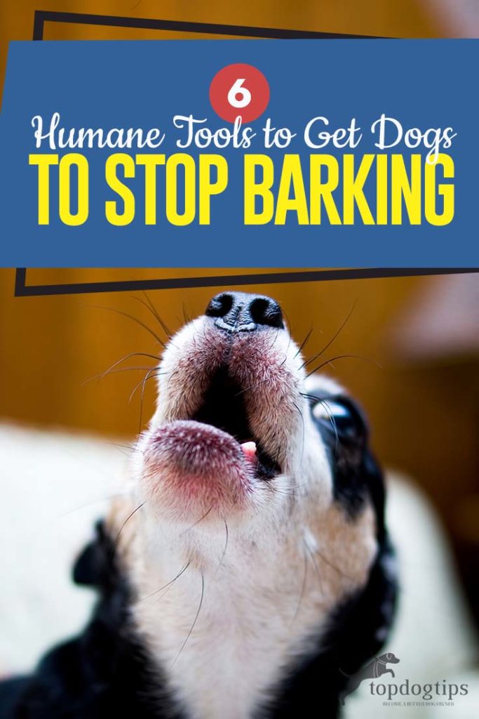 6 Humane Tools to Get Dogs to Stop Barking