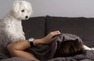 Puppy Blues: What To Do If You’re Overwhelmed With Your Puppy Puppy Blues