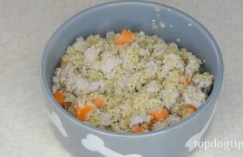 Recipe: Simple Quinoa Dog Food Simple Quinoa Dog Food