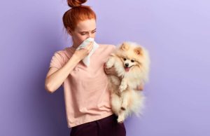 Why Does My Dog Stink? 12 Reasons Why and What to Do Why Does My Dog Stink - featured image