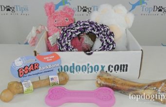 Review: WooDoo Box Dog Subscription Box WooDoo Box