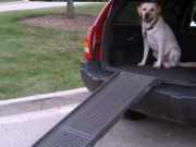 8 Best Dog Ramps for Cars Best Dog Ramps for Cars