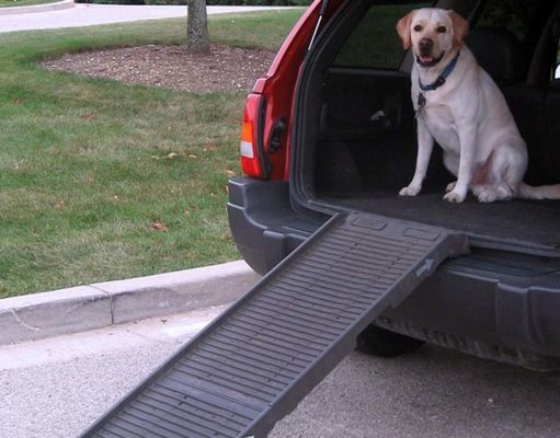 8 Best Dog Ramps for Cars Best Dog Ramps for Cars
