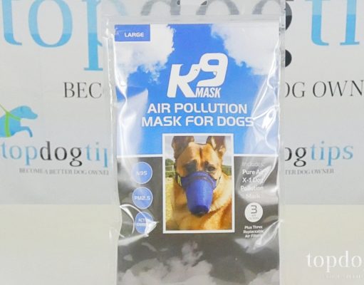 Giveaway: K9 Mask Air Pollution Mask for Dogs ($50+ Value) K9 Mask Giveaway