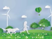 Most Eco-friendly and Organic Dog Supplies Most Eco-friendly, Organic Dog Supplies and Products