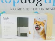 Review: Petcube Bites 2 Pet Camera Petcube Bites 2