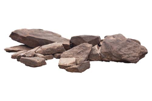 Rocks for dogs