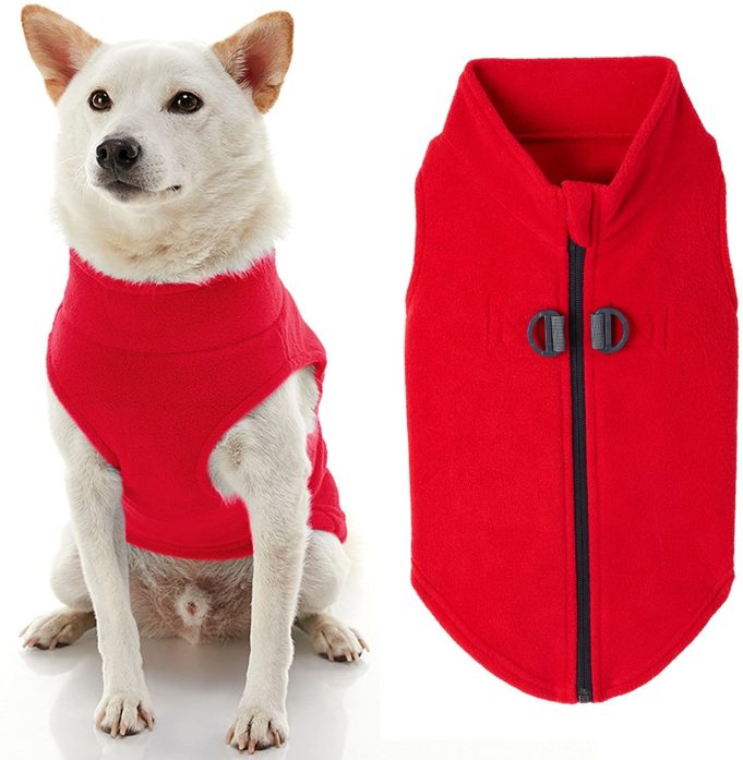 20 Things to Keep Dogs Warm in Winter (Indoors and Outdoors)