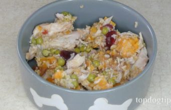Recipe: Christmas Dinner for Dogs Made with Leftovers dog food in bowl
