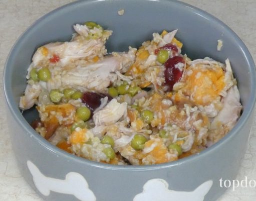 Recipe: Christmas Dinner for Dogs Made with Leftovers dog food in bowl