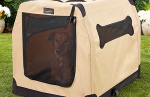 10 Best Portable Soft Dog Crates for Travel Best Portable Soft Dog Crates for Travel featured image