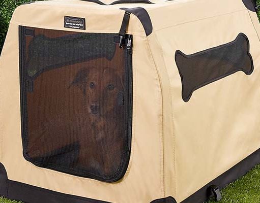 10 Best Portable Soft Dog Crates for Travel Best Portable Soft Dog Crates for Travel featured image