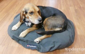 Review: DogSheetz Waterproof Dog Bed Cover DogSheetz Waterproof Dog Bed Cover