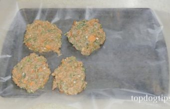 Recipe: Chicken & Beef Patties Food for Dogs with Cancer Food for Dogs with Cancer