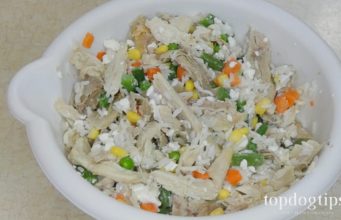 Recipe: Chicken & Vegetable Food for Dogs with Diabetes Food for Dogs with Diabetes