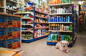 TOP #111: How Your Dog Influences Your Shopping Habits How Dogs Influence Your Shopping Habits