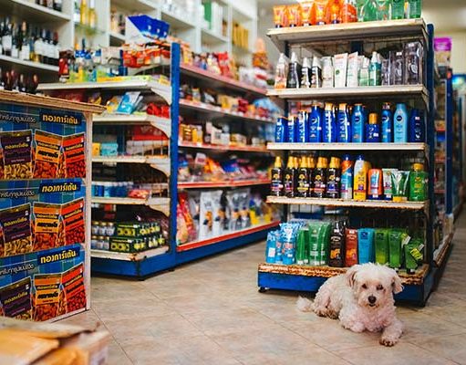 TOP #111: How Your Dog Influences Your Shopping Habits How Dogs Influence Your Shopping Habits